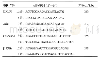 表1 PCR各基因引物序列