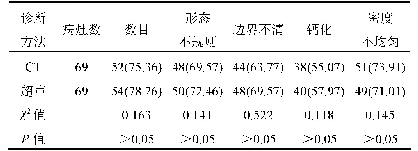 表4 两种诊断方法影像特征比较[例(%)]