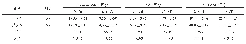 表2 两组患者Lequesne-Mery评分、VAS评分、WOMAC评分比较(,分)