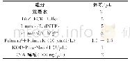 表4 PCR反应体系：水稻OsRRK1蛋白的进化分析及其亚细胞定位