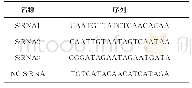 表2 Z形管段尺寸比例：LncRNA SIL沉默促进A549细胞增殖和迁移