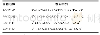 表1 AMEL基因和内参基因引物序列