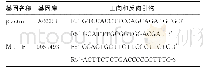 表1 引物序列：非霍奇金淋巴瘤患者外周血中金属硫蛋白1F mRNA表达的临床意义