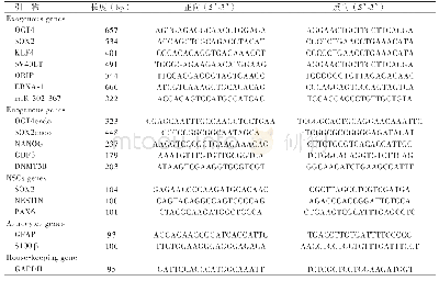 表1 引物序列：CLCN2基因突变者尿液来源诱导多能干细胞的构建及定向分化神经细胞