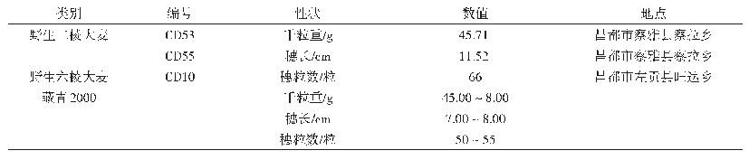 表4 优异野生大麦种质资源