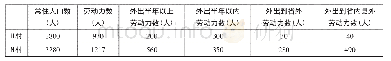 表2 H村和N村劳动力人口和外出务工人口统计