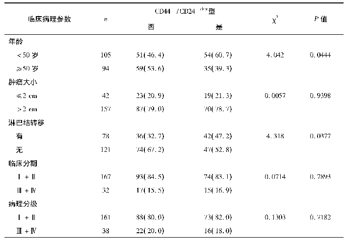 表2 CD44+/CD24-/low细胞与乳腺癌临床病理参数的关系[例(%)]