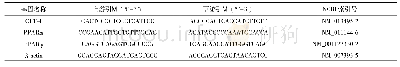 表1 荧光定量PCR引物序列