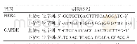 表1 HER4及GAPDH引物序列