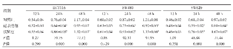 表3 各组细胞增殖能力检测结果比较（±s)