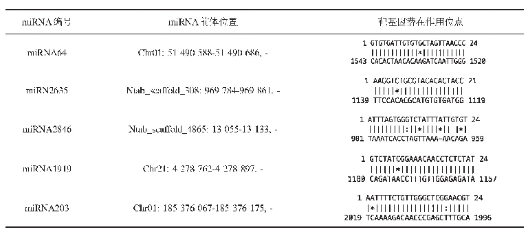 表4 烟碱相关mi RNA靶基因的潜在作用位点