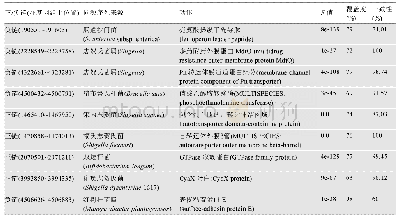 表3 大肠杆菌(E.coli str.K-12 substr.MG1655)满足宽松阈值的新基因