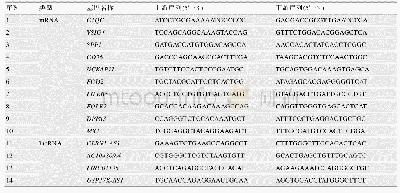表2 实时荧光定量PCR引物序列表