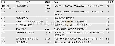 表1 肾脏发育相关的miRNA敲除动物模型