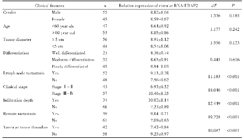 表1 环状RNA-UBAP2的表达与胃癌患者临床特征的关系