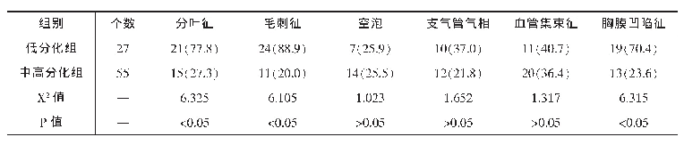 表2 不同CT征象同组织分化程度之间的相关性（n,%)