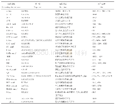 表2 ZmCOL3pro217启动子区顺势作用元件