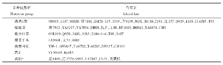 表2 国审青贮玉米品种亲本自交系优势群