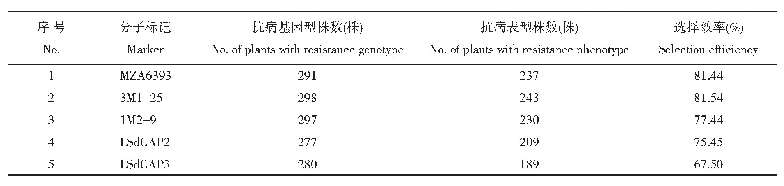 表2 分子标记在BC2F1世代分离群体中的选择效率