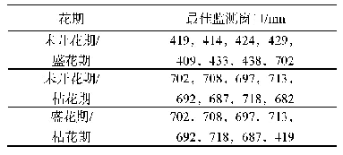 表3 薇甘菊不同花期光谱一阶微分最佳监测窗口