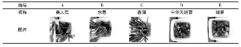 表1 五种水生植物：水生植物对封闭式景观水体净化性能研究