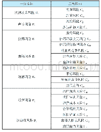 《表2.1风险评估指标体系》