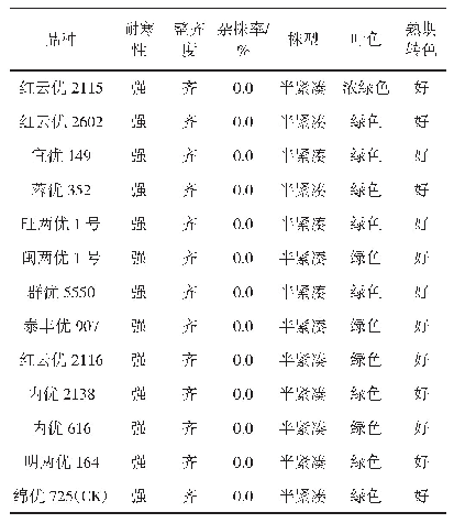 表2 各品种主要农艺性状分析