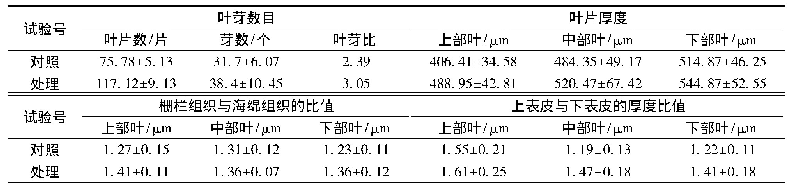 表8 优化的叶面肥对油茶幼苗叶芽比和叶片结构的影响