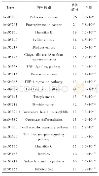 表4 KEGG通路富集分析
