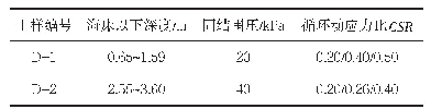 表4 海底土动三轴试验加载方案