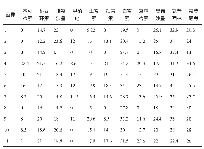表1 11株鹅源产气荚膜梭菌纸片法药敏试验结果 (抑菌圈单位:mm)