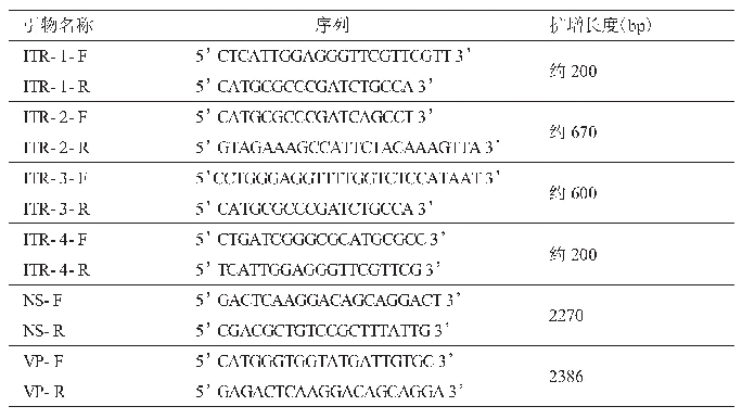 表1 全基因序列测序引物序列