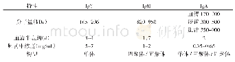 《表1 鸡免疫球蛋白的特征》