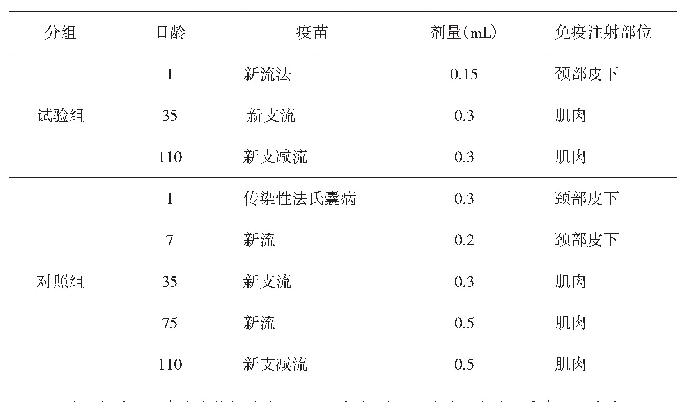 表1 试验组及对照组免疫程序