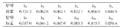 表3 经济评价指标权重：区域人口城镇化与经济城镇化协调度差异分析——以甘肃省为例