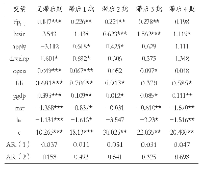 表3 动态面板数据回归结果