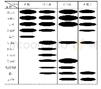 表1 放羊山矿床矿物生成顺序表