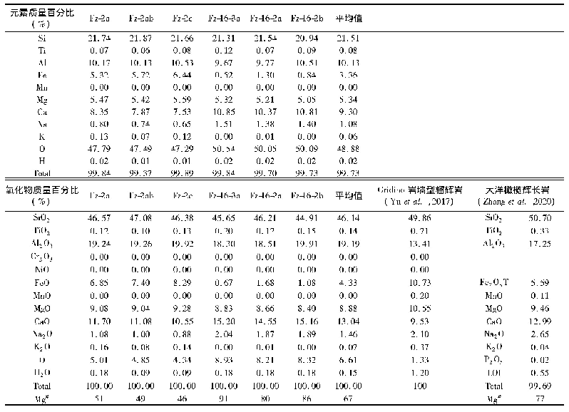 表7 通过扫描电镜面扫TIMA矿物分析程序得到榴辉岩捕虏体Fz-2和Fz-16的多个样品中的元素质量百分比及氧化物质量百分比