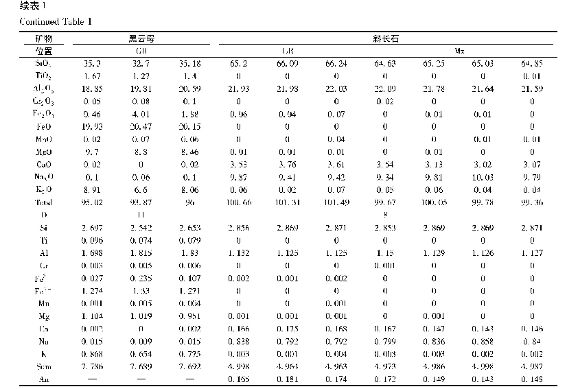 表1 样品18TZH49代表性的矿物组分(wt%)