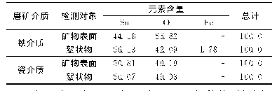 表4 锡石表面和絮状物成分X射线能谱分析结果