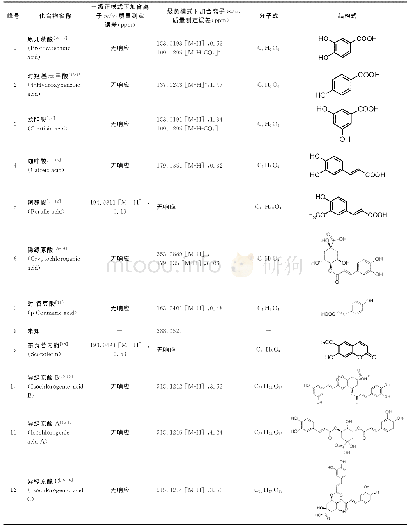 表2 麸炒白术配方颗粒UPLC-Q-TOF-MS分析