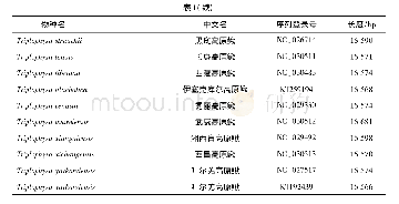 表1 37种高原鳅属鱼类线粒体基因组的基本信息