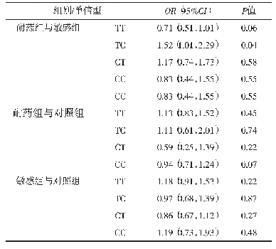 表1 各组KCNJ10基因rs6690889位点单倍型频率分布