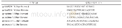 表1 用于检测nephrin、podocin基因的RT-qPCR引物序列