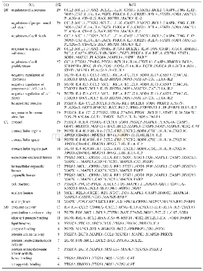 表3 GO分析结果：基于网络药理学与分子对接的加减香砂六君子汤治疗新型冠状病毒肺炎恢复期肺脾气虚证的机制研究