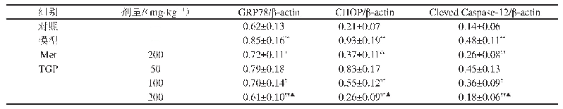 表3 TGP对糖尿病大鼠心肌组织GRP78、CHOP、Cleved Caspase-12蛋白相对表达量的影响（±s,n=10)