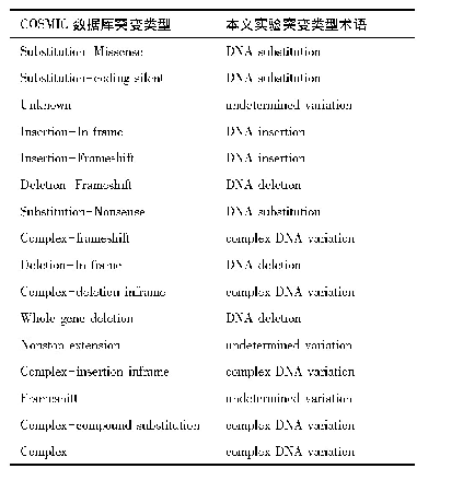 表3 COSMIC 数据库突变类型与本文实验分类体系