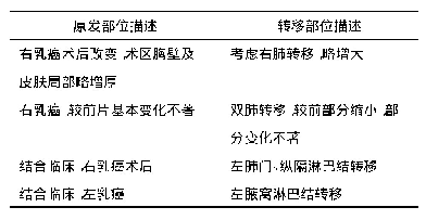 表1 乳腺癌原发部位和转移部位描述句