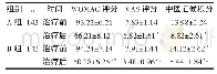 表2 两组患者治疗前后各项评分比较 (±s, 分)