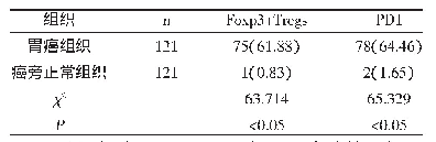 《表1 Foxp3+Tregs和PD1在胃癌组织及癌旁正常组织中的阳性表达率比较[n(%)]》